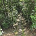 trail_mandicocha_la_v_0306_ecu1021.jpg